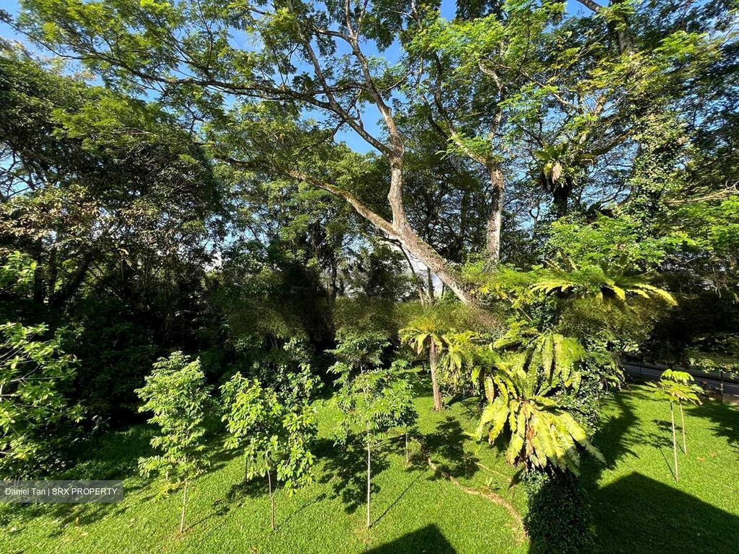 Serangoon Avenue 3 (D19), Terrace #454130841